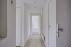 F09 0707STM Auriollaan18.jpg